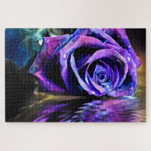 Rose pourpre