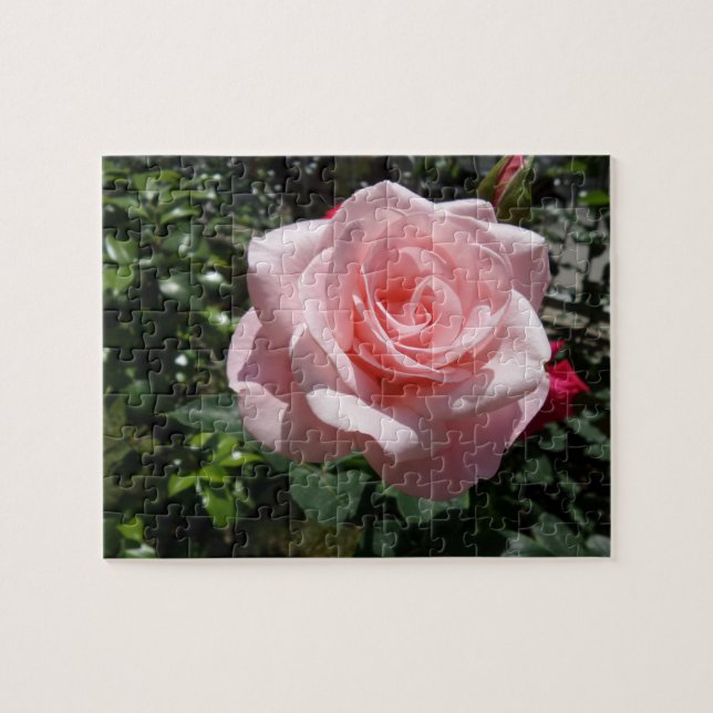 Puzzle rose Rose (Horizontal)
