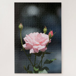 Puzzle rose rose