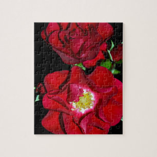 Puzzle Rose rouge sur black.jpg