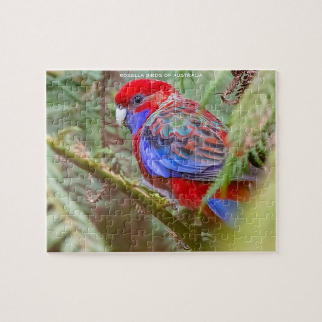 Puzzle Rosella Birds d'Australie (Horizontal)