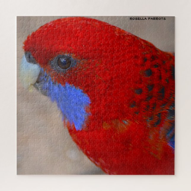 Puzzle Rosella Parrots Australie (Vertical)