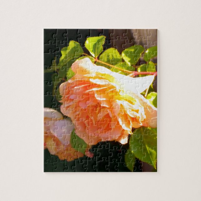 Puzzle Roses de pêche par pays (Vertical)