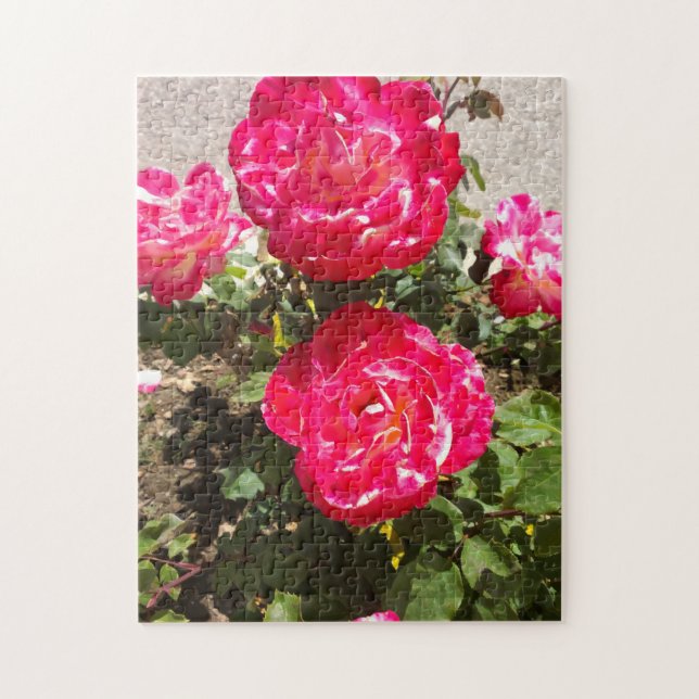 Puzzle Roses du jardin rouge (Vertical)