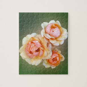 Puzzle roses jaunes