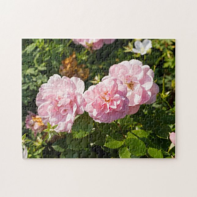 Puzzle Roses Roses Roses Dans Le Jardin (Horizontal)