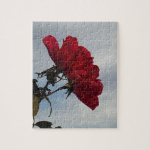 Puzzle Roses rouges contre un ciel bleu vif