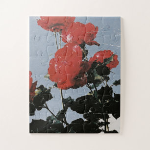 Puzzle Roses rouges vintage sur un ciel bleu