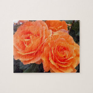 Puzzle Roses Tangerine, Puzzle, 8 x 10 po, 110 pièces