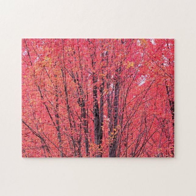 Puzzle Rouge d'automne - Arbres d'automne (Horizontal)