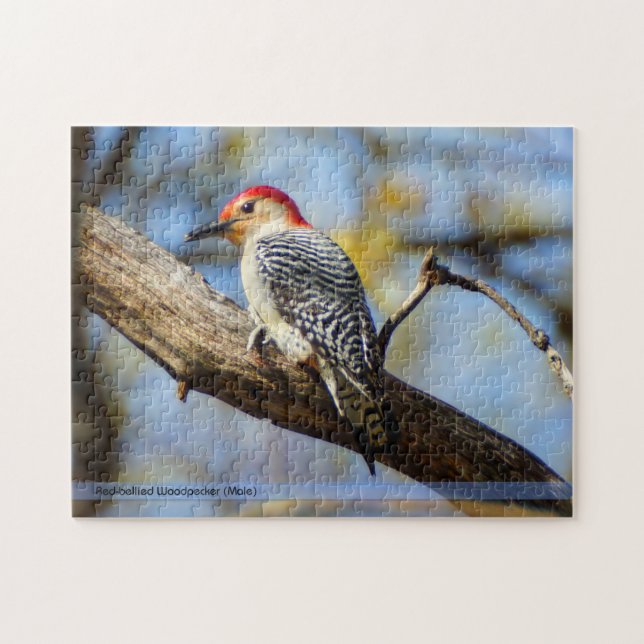 Puzzle Rouge-Gonflé de pivert (Horizontal)