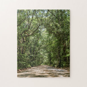 Puzzle Route de l'Angel Oak