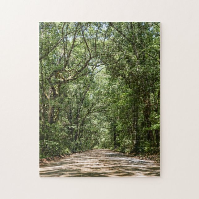 Puzzle Route Vers Angel Oak (Vertical)