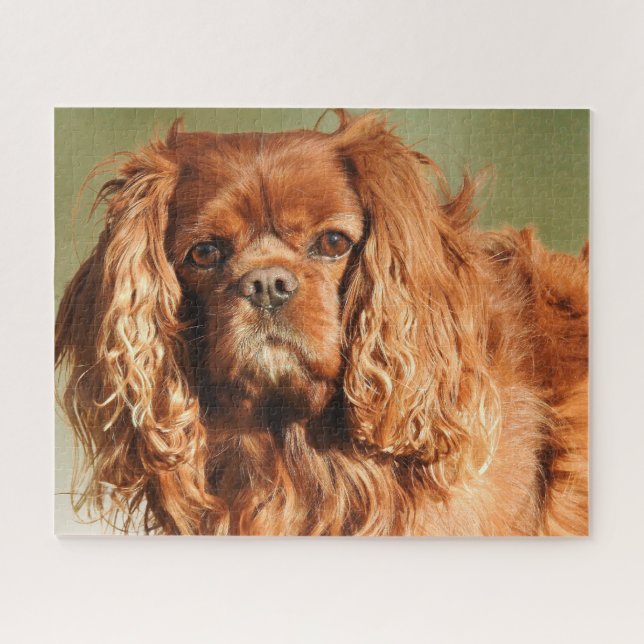 Puzzle Ruby Cavalier King Charles Spaniel (Horizontal)