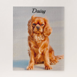 Puzzle Ruby Cavalier King Charles Spaniel Chien