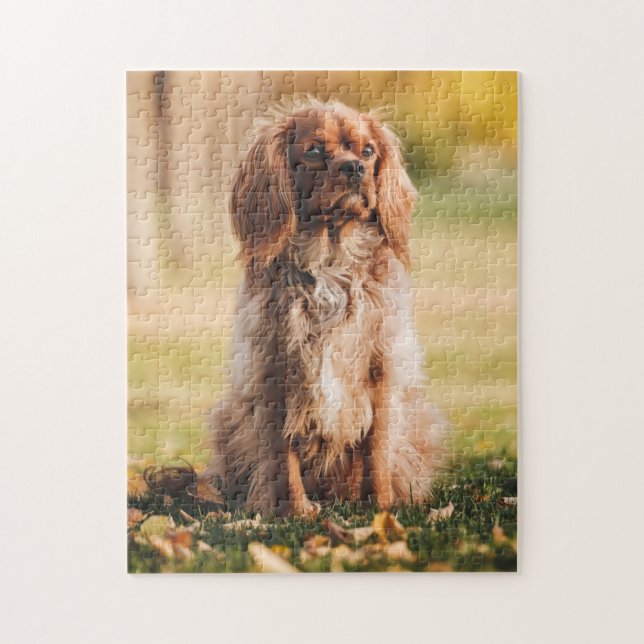 Puzzle Ruby Cavalier Le Roi Charles Spaniel Chien Chien (Vertical)