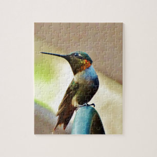 Puzzle Ruby perché et petit colibri vert