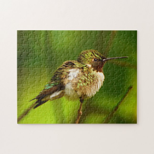 Puzzle Ruby Throby Hummingbird (Horizontal)