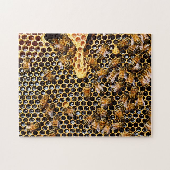 Puzzle Ruche d'abeilles avec peigne d'abeille (Horizontal)