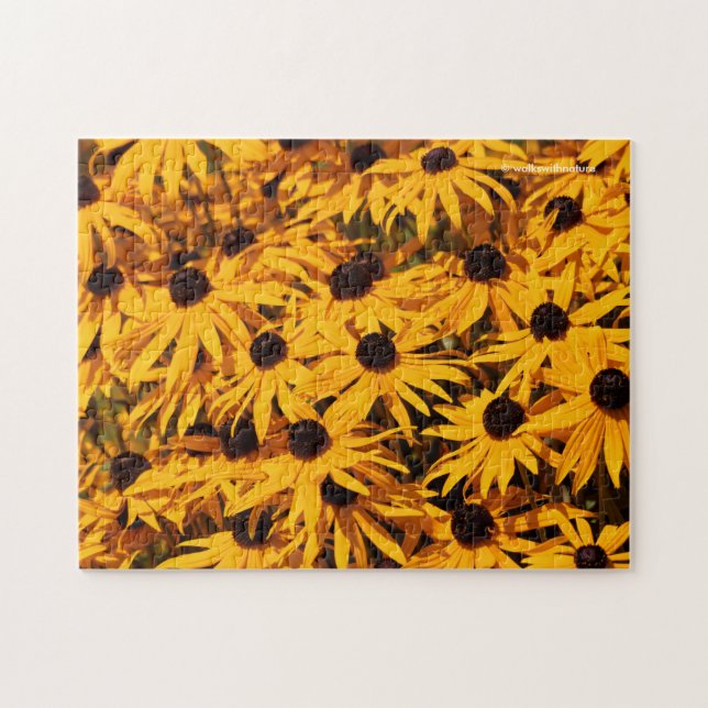 Puzzle Rudbeckia Fulgida / Orange Coneflower (Horizontal)