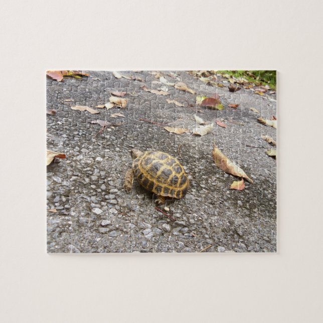Puzzle russe d'intermédiaire de tortue (Horizontal)