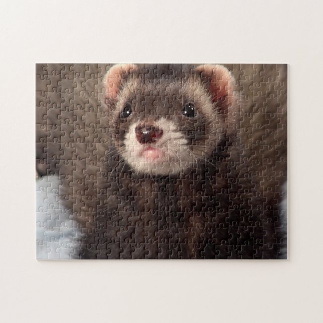 Puzzle Sable Weasel - Jabba le Ferret (Horizontal)