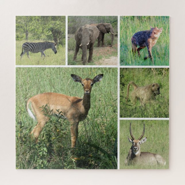 Puzzle safari afrique (Horizontal)
