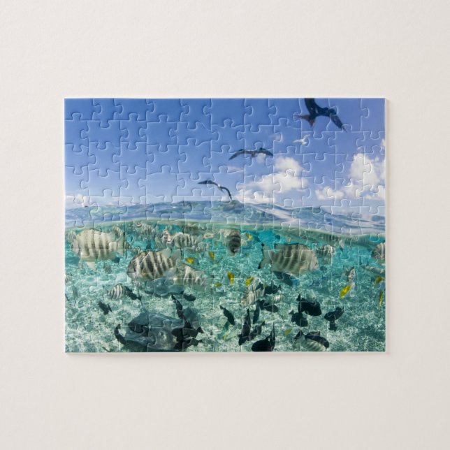 Puzzle safari sur la lagune avec Stingrays (Horizontal)