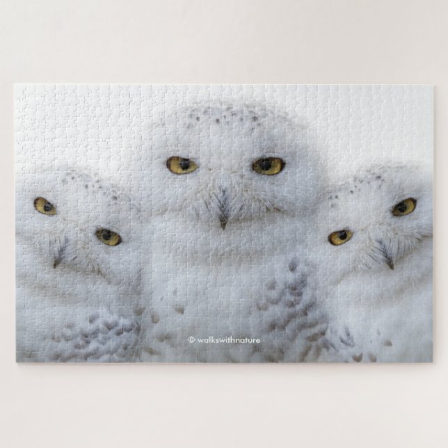 Puzzle Sagesse rêveuse des Chouettes neigeuses (Horizontal)