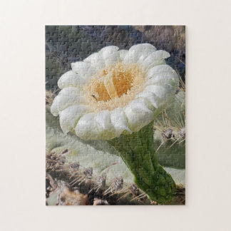 Puzzle Saguaro in Bloom Puzzle, 11" x 14", 252 pieces