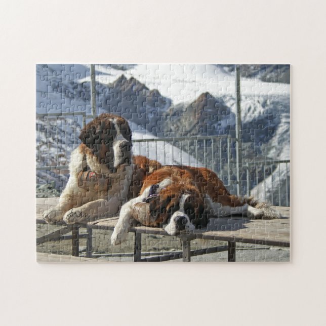 Puzzle Saint Bernard (Horizontal)