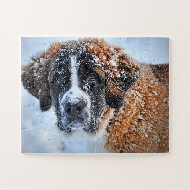 Puzzle Saint Bernard dans la neige (Horizontal)