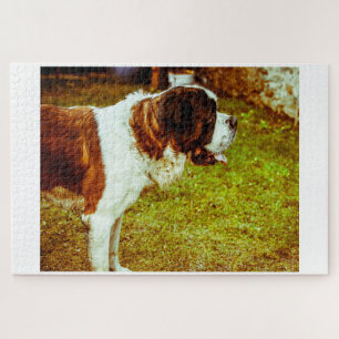 Puzzle Saint Bernard Dog Jigsaws.