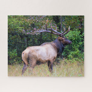 Puzzle Saison de chasse - Bull Elk - 16x20 pouces
