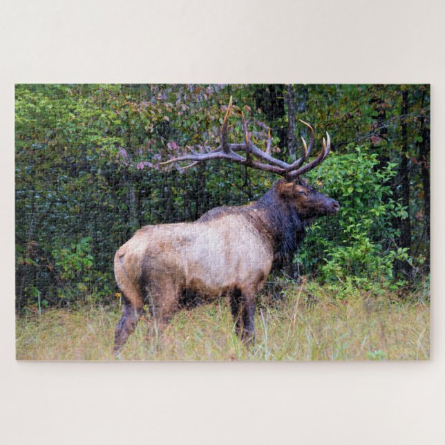 Puzzle Saison de chasse - Bull Elk - 20x30 pouces (Horizontal)