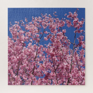Puzzle Sakura Cerisiers en Fleur Dans Le Bleu