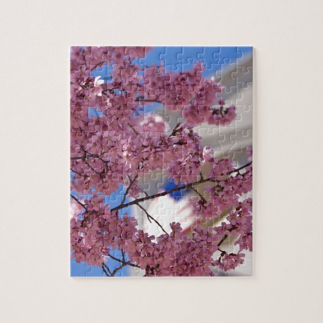 Puzzle Sakura Cherry Blossoms (Vertical)