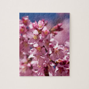 Puzzle Sakura Cherry Blossoms embrassés par Sunlight