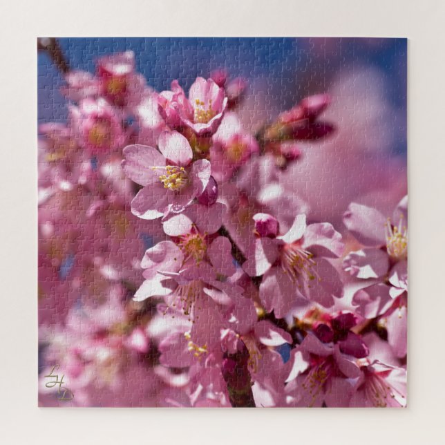 Puzzle Sakura Cherry Blossoms embrassés par Sunlight (Vertical)