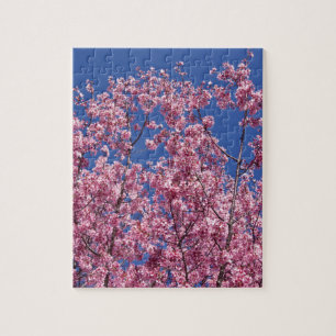 Puzzle Sakura Cherry Fleurit Dans Le Bleu