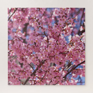 Puzzle Sakura Pink Cherry Blossom Sky