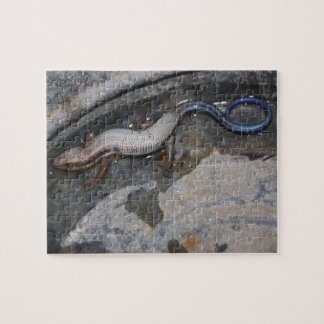 Puzzle Salamandre