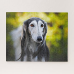 Puzzle Saluki Dog Jigsaws.
