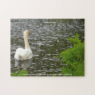 Puzzle Salutations de Noël Les cygnes à Kilcullen