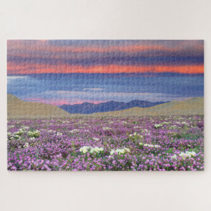 Puzzle Sand Verbena & Dune Primrose Fleurs sauvages au co
