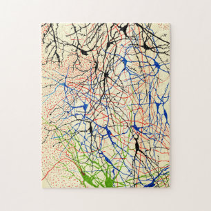 Puzzle Santiago Ramón Y Cajal Nerve Cells