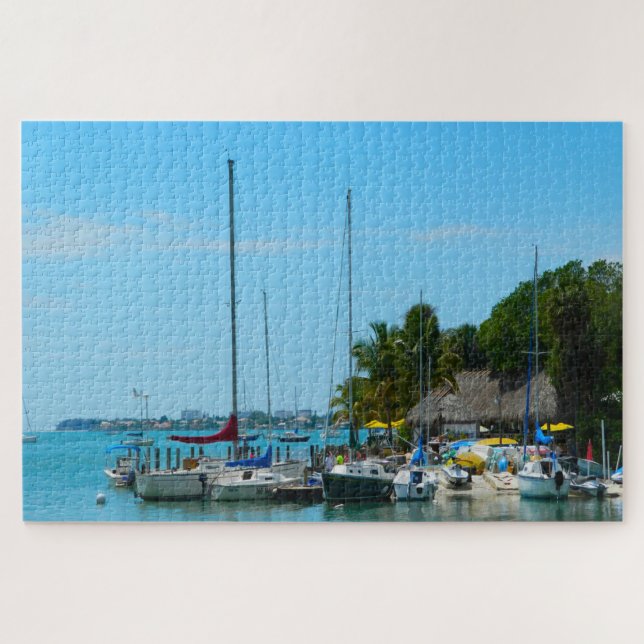Puzzle Saratosa Floride (Horizontal)