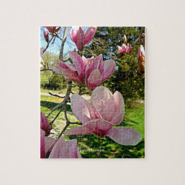 Puzzle Saucer rose D'Inspiration Naturelle Magnolia Bloom (Vertical)