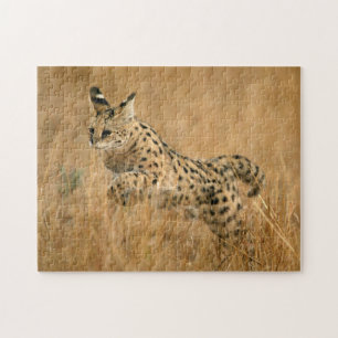 Puzzle Saut Serval (Leptailurus Serval)