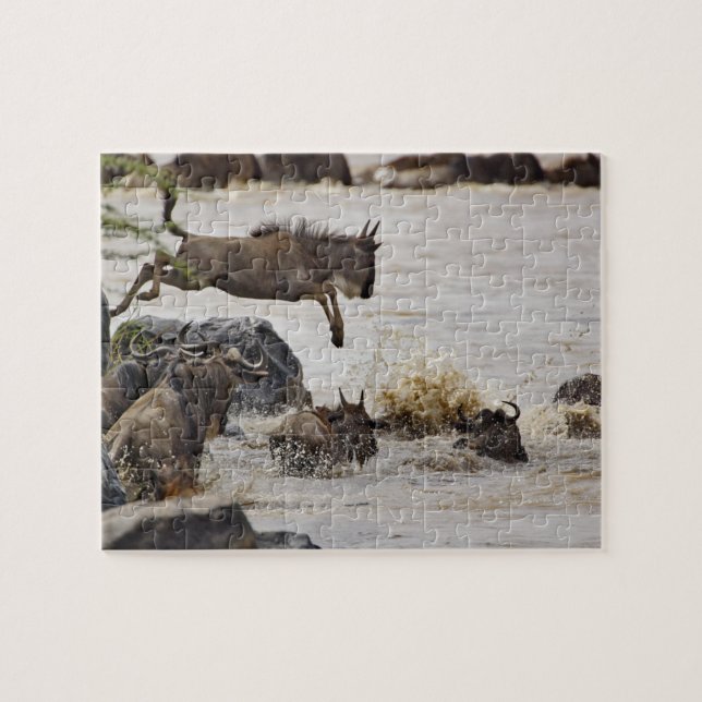 Puzzle Sauts sauvages dans la rivière Mara (Horizontal)
